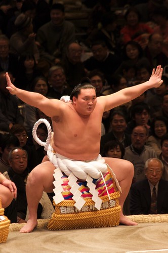 Sumo - Hakuho
