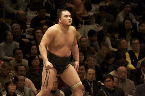 Sumo - Harumafuji